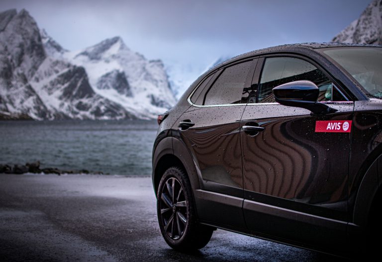 AVIS Netherlands: Your car to explore the land of tulips on four wheels!
